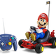 Illustration for article titled 10 R/C Toys That Are Extraordinary (or Just Plain Weird)